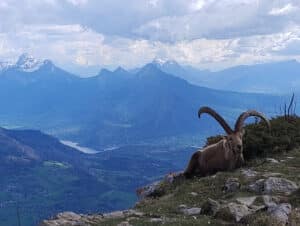 randonnée massifs annecy